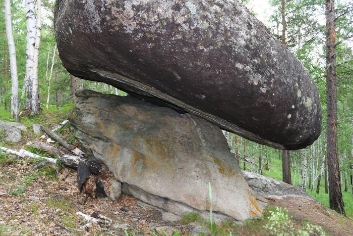 Основание каменного гриба